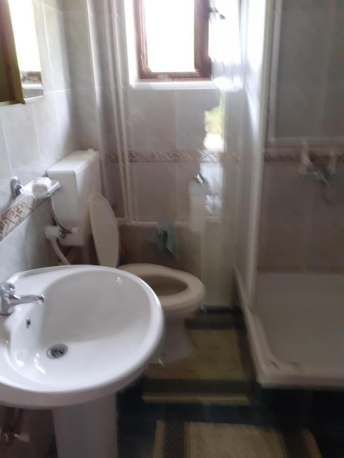 Studio Apartman Jelena Zaovine Luaran gambar