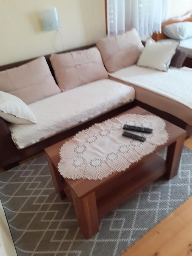 Studio Apartman Jelena Zaovine Luaran gambar